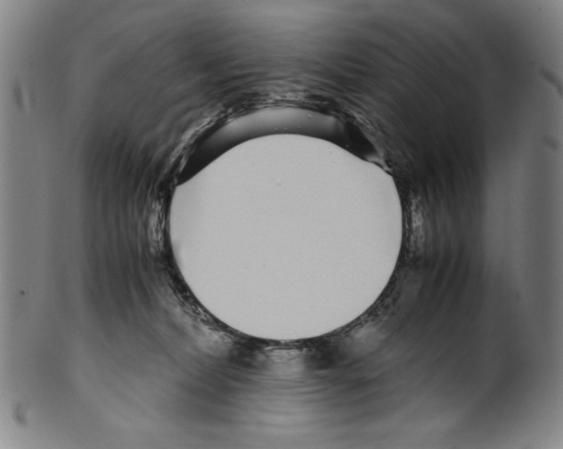 X0000099430228200806061027