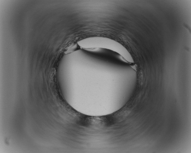 X0000099430229200806061027