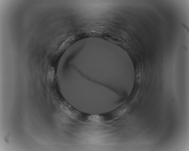 X0000099430231200806061027