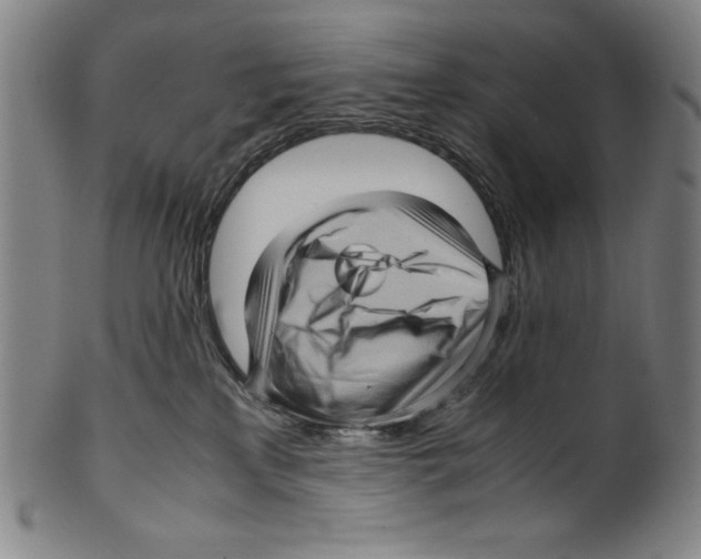 X0000099430233200806061027