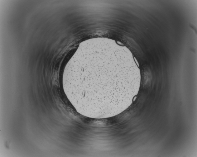 X0000099430236200806061027