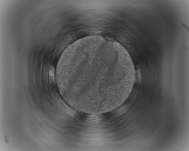 X0000099430238200806061027