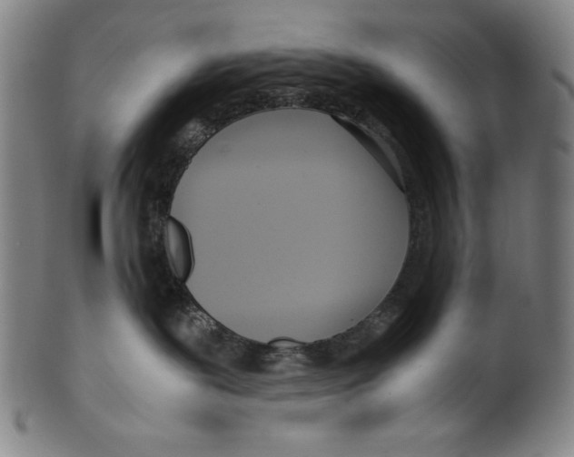 X0000099430239200806061027