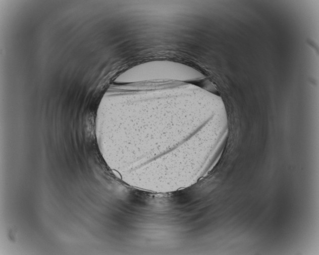 X0000099430240200806061027