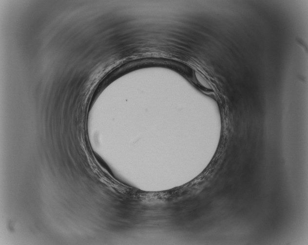 X0000099430241200806061026