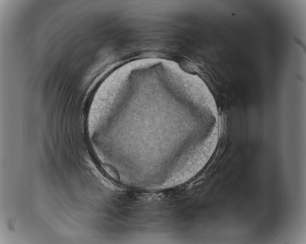 X0000099430243200806061026