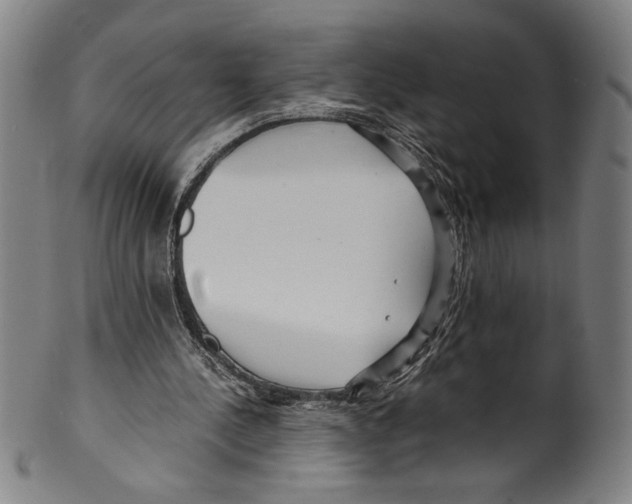 X0000099430244200806061026