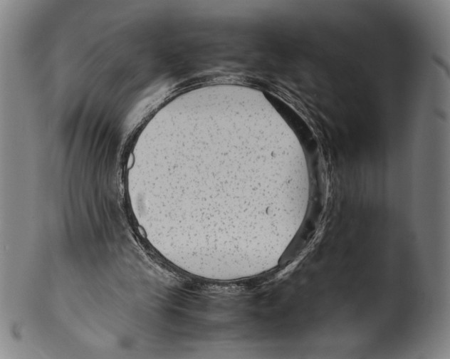 X0000099430245200806061026