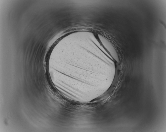 X0000099430246200806061026