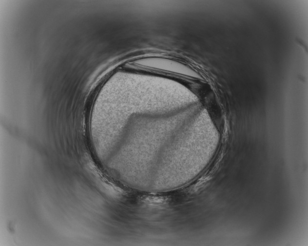 X0000099430247200806061026