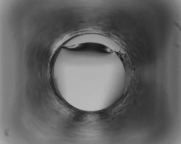 X0000099430248200806061026