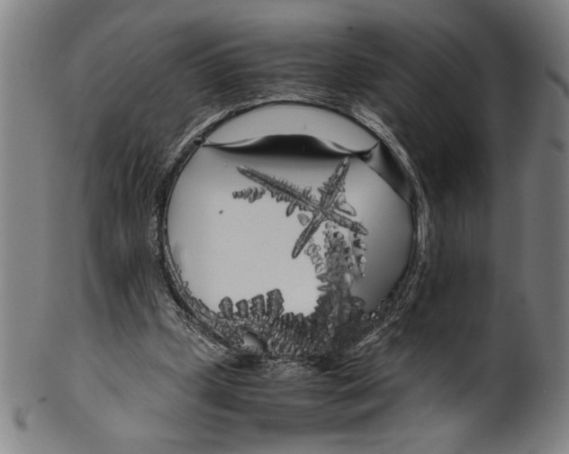 X0000099430249200806061026