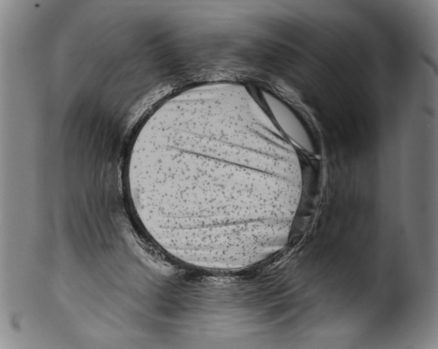 X0000099430250200806061026