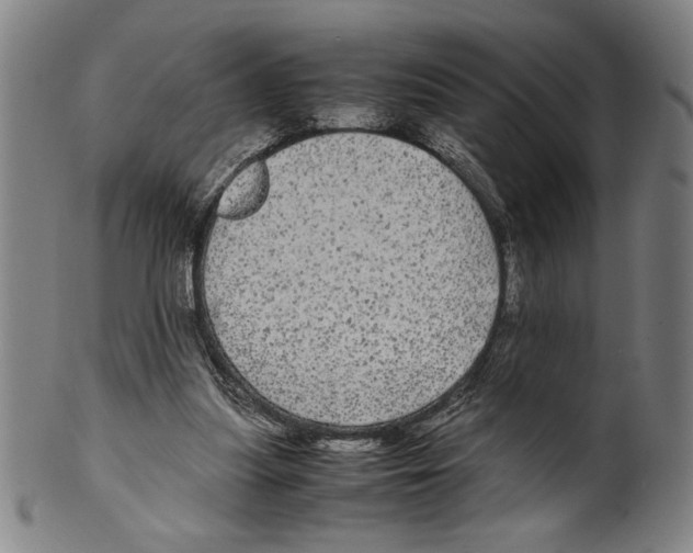 X0000099430251200806061026