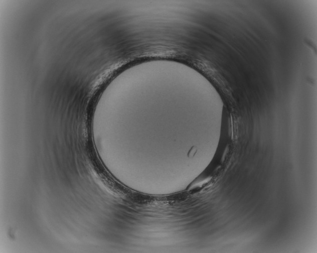 X0000099430252200806061026