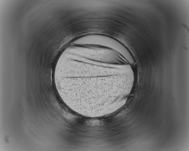 X0000099430253200806061026