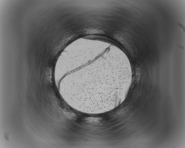 X0000099430255200806061026