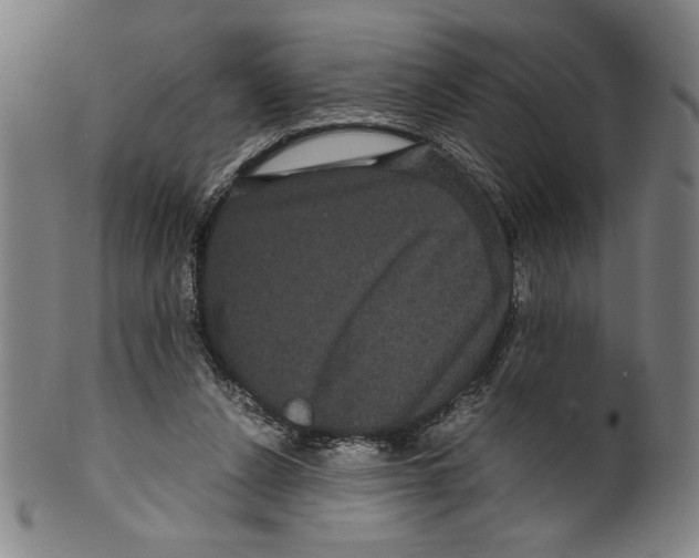 X0000099430256200806061026