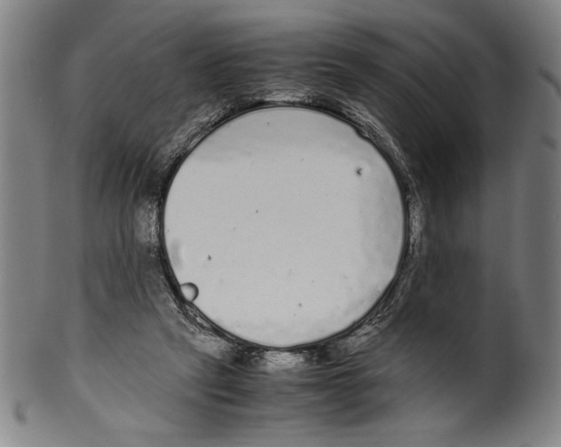 X0000099430257200806061026