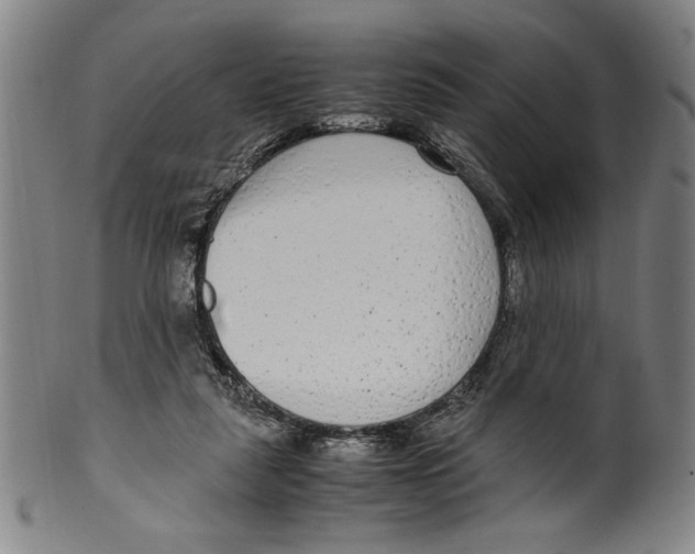 X0000099430259200806061026