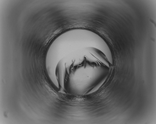 X0000099430260200806061026