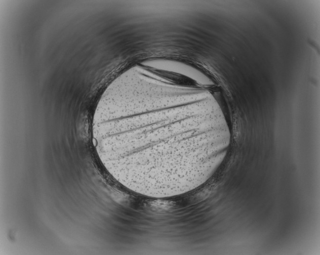 X0000099430261200806061026