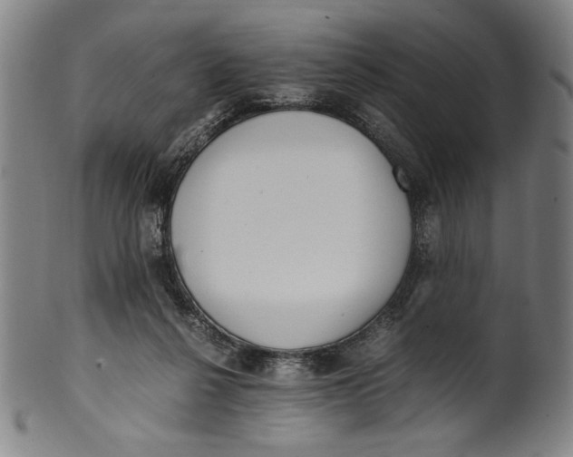 X0000099430264200806061026