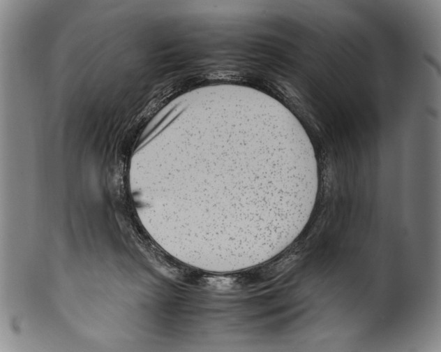 X0000099430265200806061026