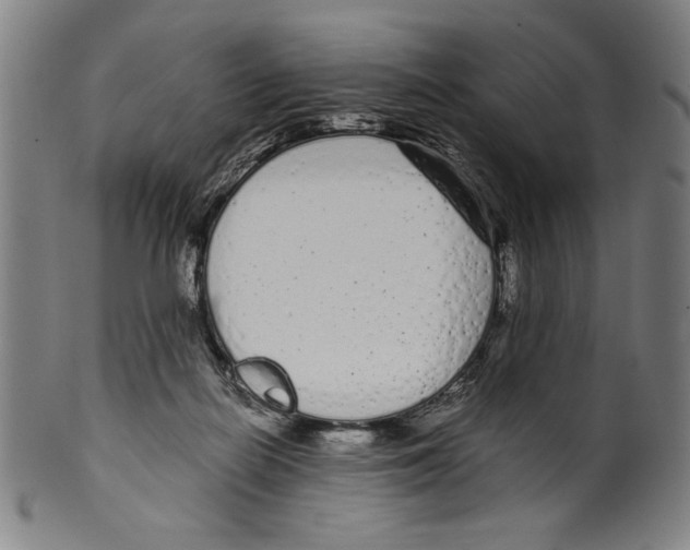 X0000099430266200806061026