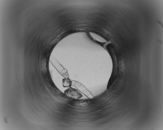 X0000099430267200806061026