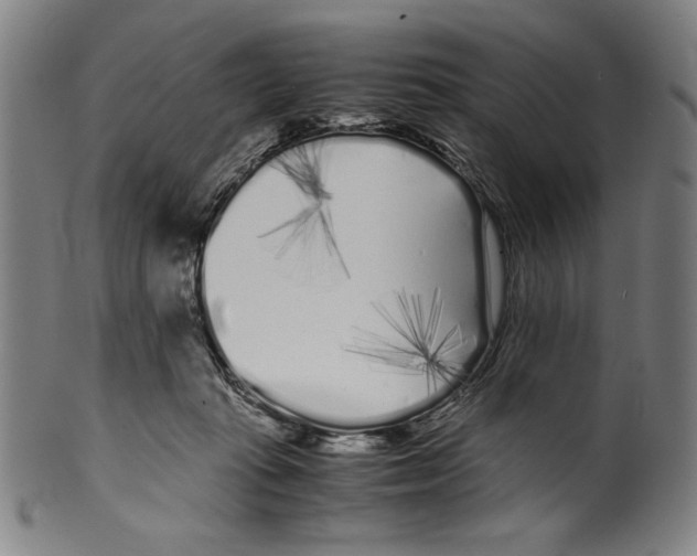 X0000099430269200806061026