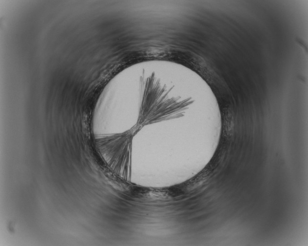 X0000099430270200806061027