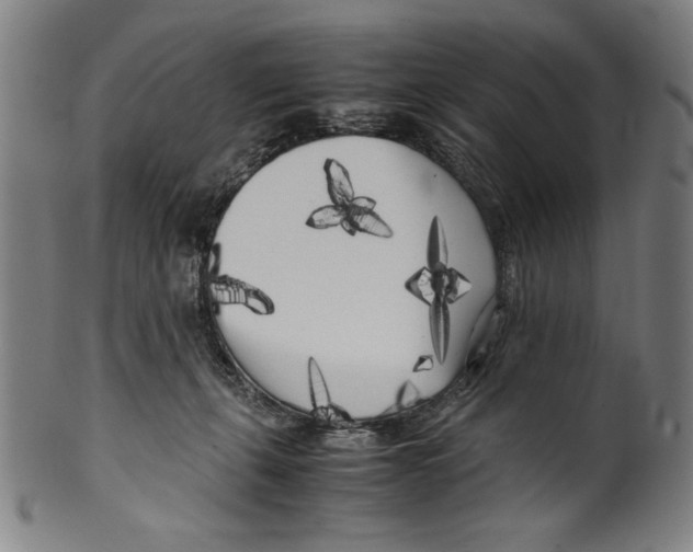 X0000099430271200806061027