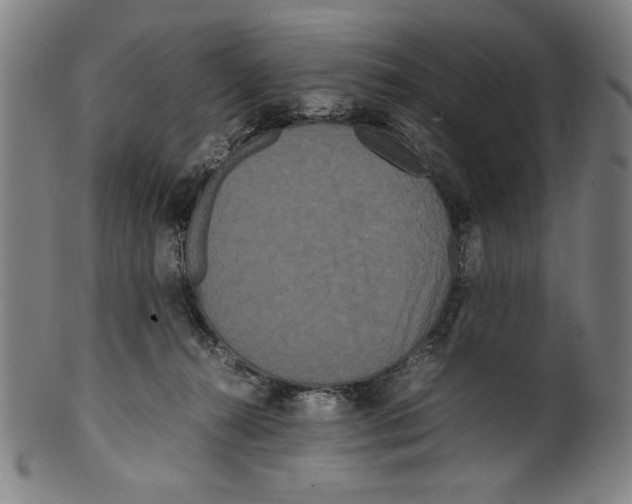 X0000099430272200806061027