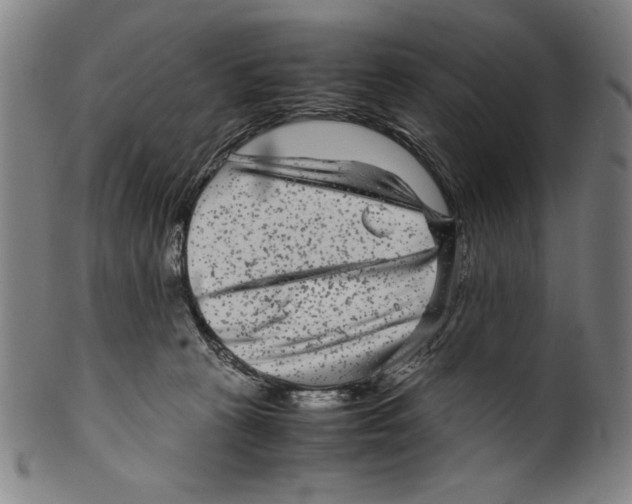 X0000099430273200806061027