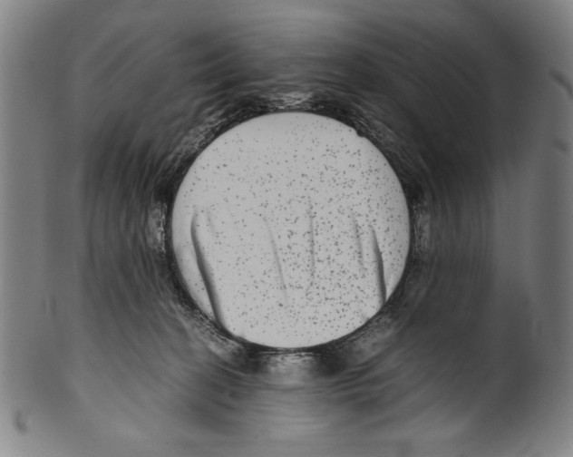 X0000099430274200806061027