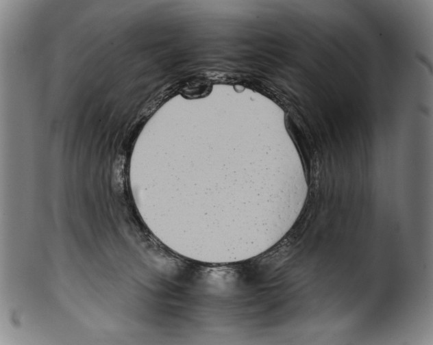 X0000099430275200806061027