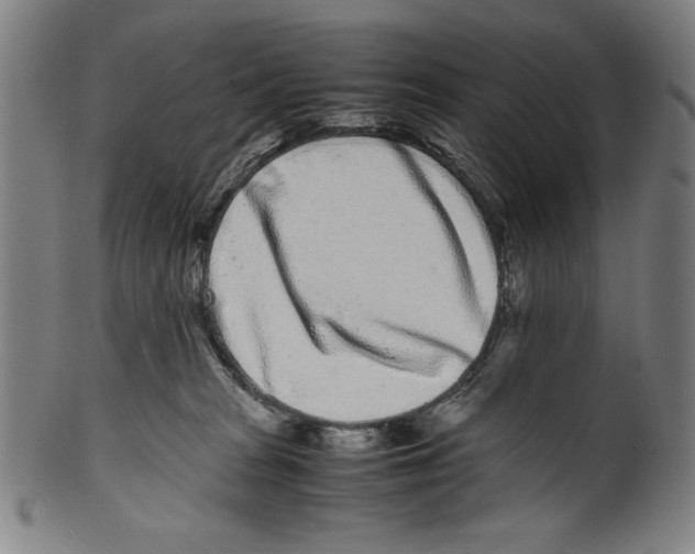 X0000099430277200806061027