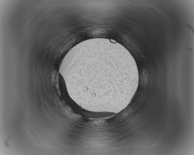 X0000099430278200806061027