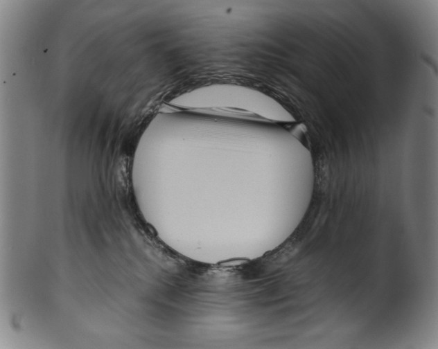 X0000099430280200806061027