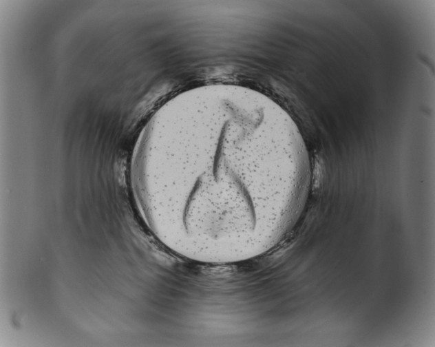 X0000099430282200806061027