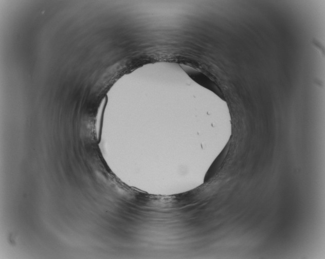 X0000099430288200806061027