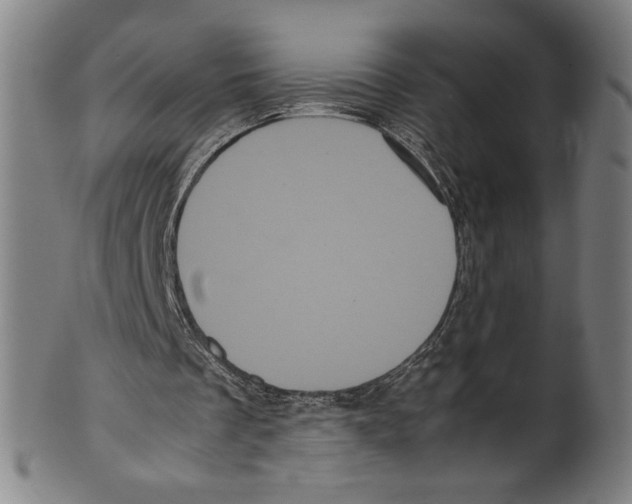 X0000099430289200806061026