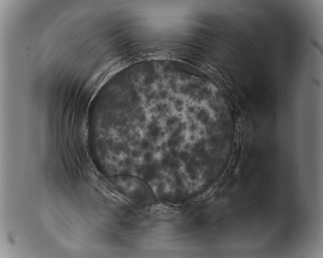 X0000099430290200806061026