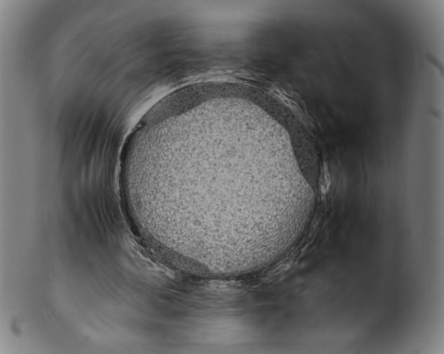 X0000099430292200806061026