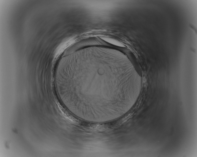 X0000099430293200806061026