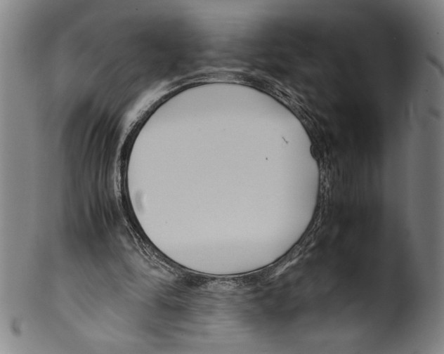 X0000099430294200806061026