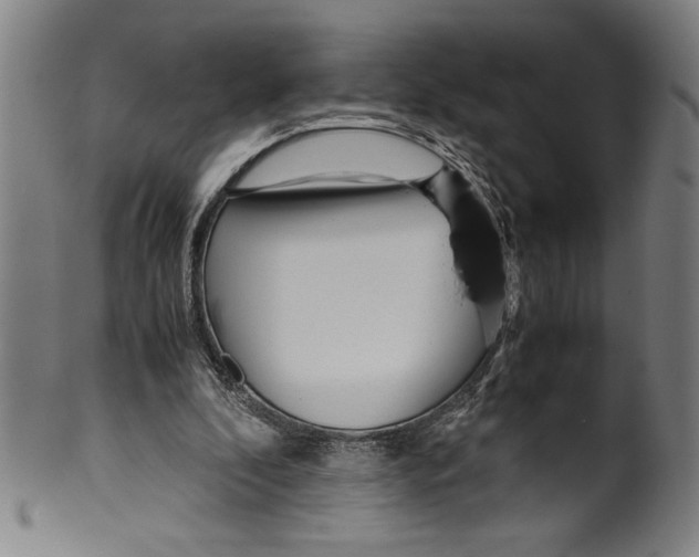 X0000099430296200806061026