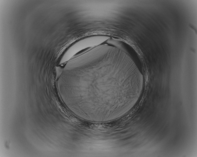 X0000099430297200806061026