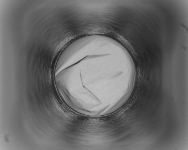 X0000099430298200806061026